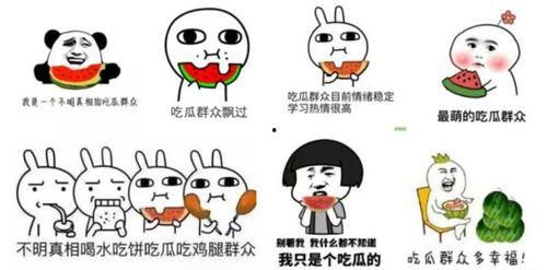 吃瓜群众下一句是什么,揭秘“吃瓜群众”背后的热议与真相